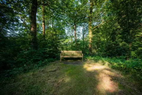 Houten bank langs een wandelpad in het bos bij Crematorium Kranenburg.