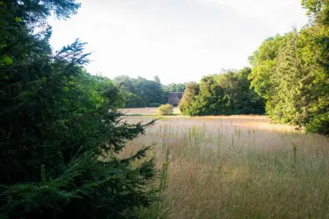 Natuurlijk grasveld met een waterpartij en bomen op het terrein van Crematorium Kranenburg.
