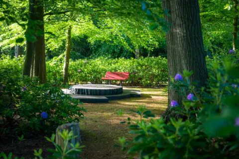 Rode bank onder de bomen in de tuin van Crematorium Kranenburg.