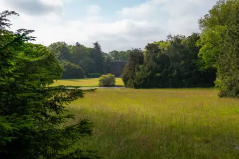 Natuurlijk grasveld met bomen en groen op het terrein van Crematorium Kranenburg.